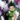Hunter x Hunter prepara capítulo inédito para 2025